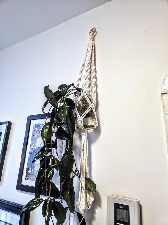 Macramé Plant Hangers