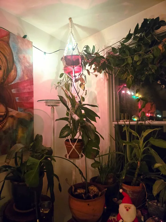 Another view of the Macramé Plant Hanger for a Terracotta Pot