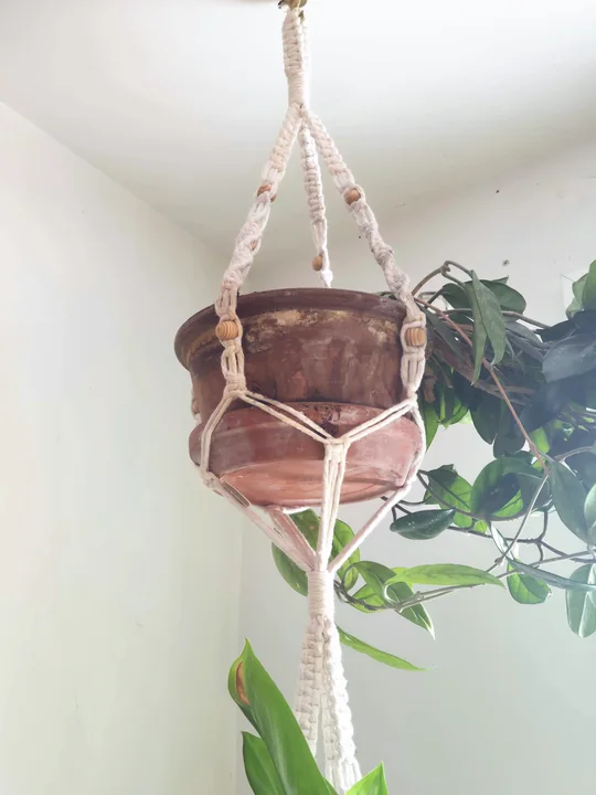 Macramé plant hanger holding a terracotta pot, hanging from the ceiling